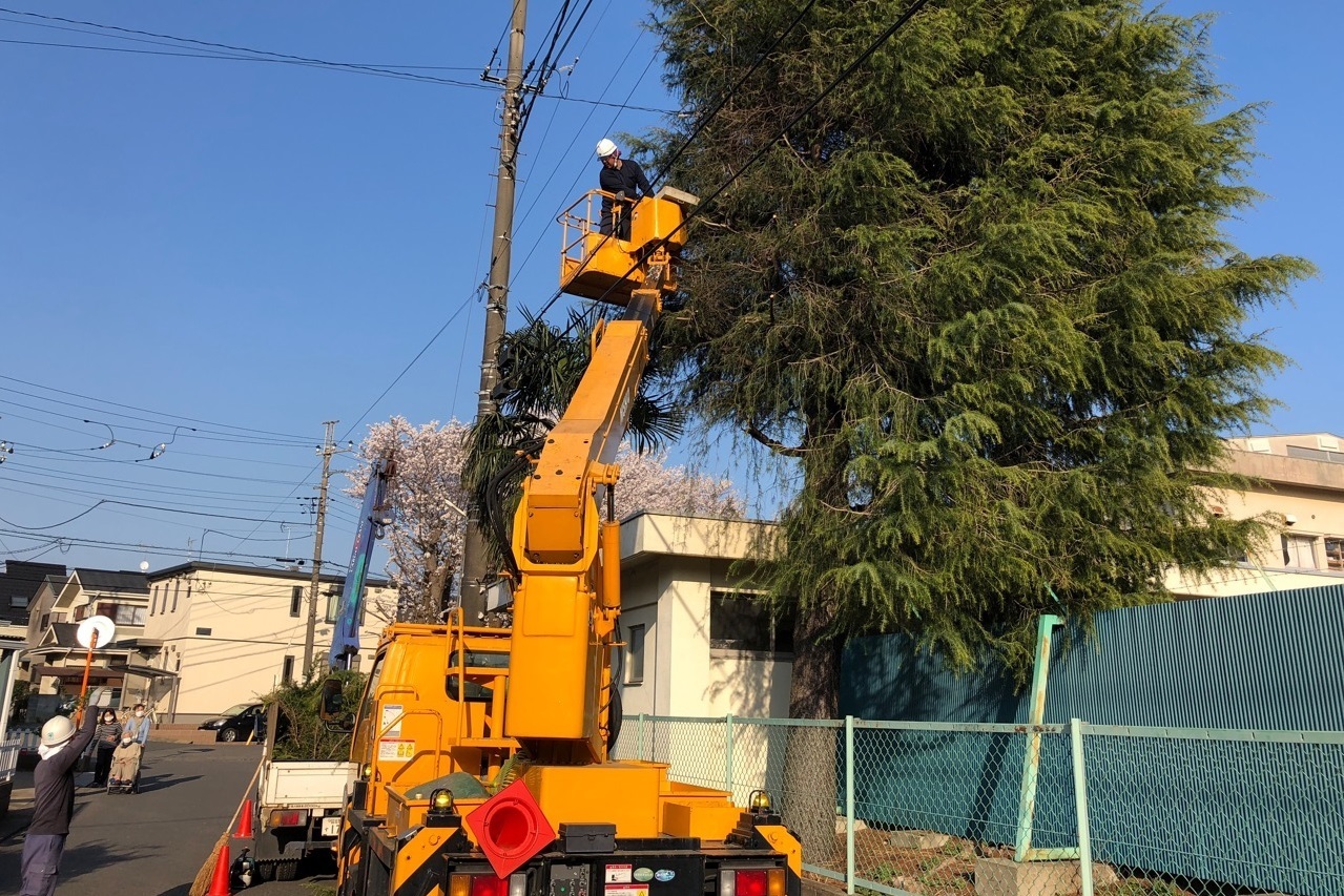 田中園緑化土木株式会社 トップページ樹木管理