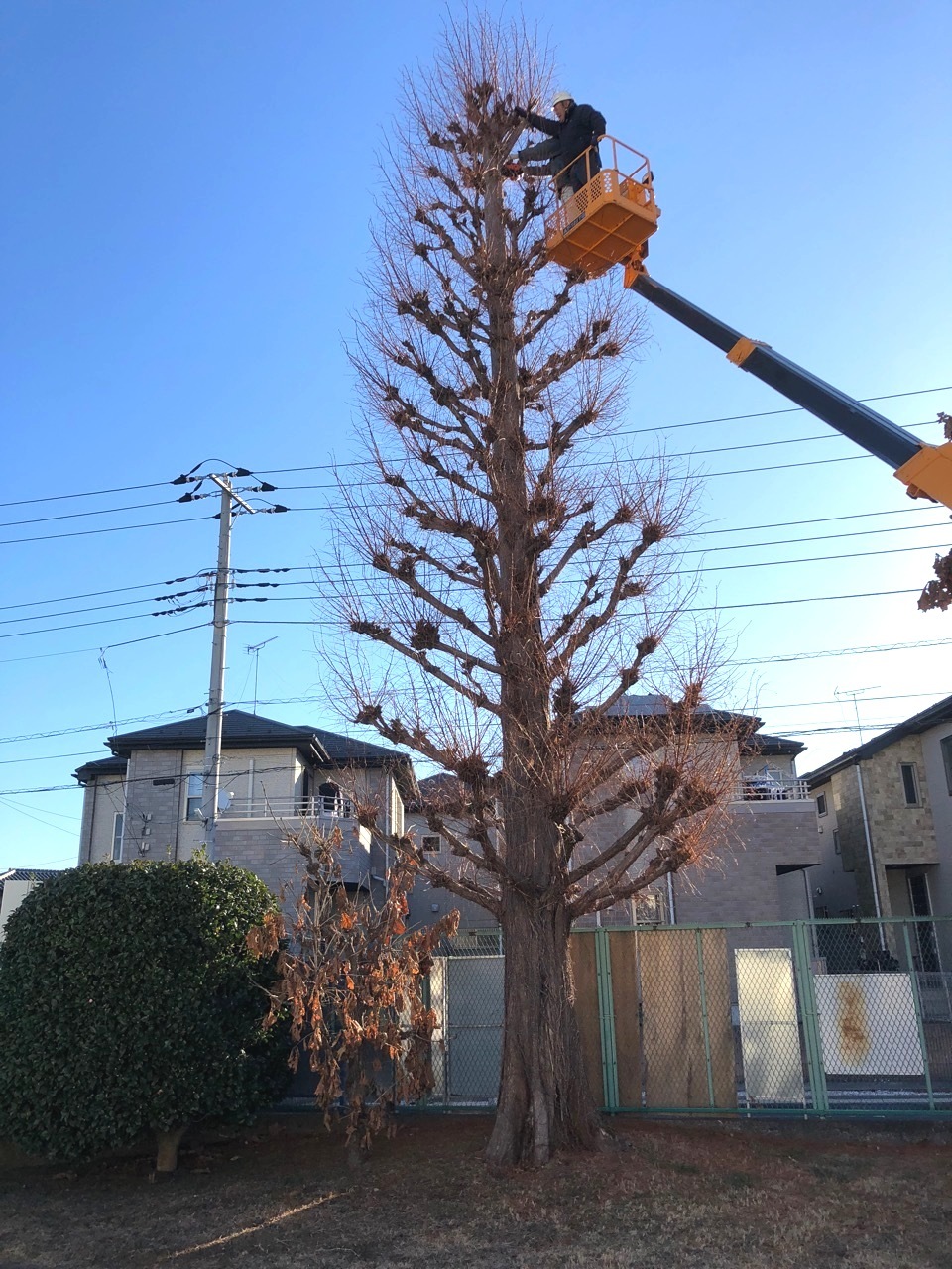 田中園緑化土木　トップページ