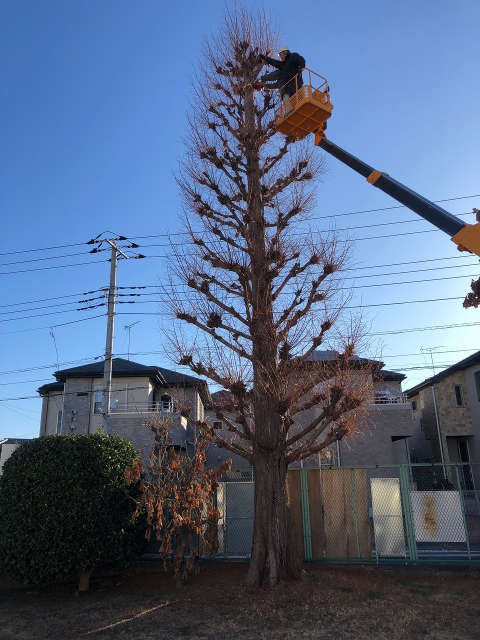 田中園緑化土木株式会社民間事業