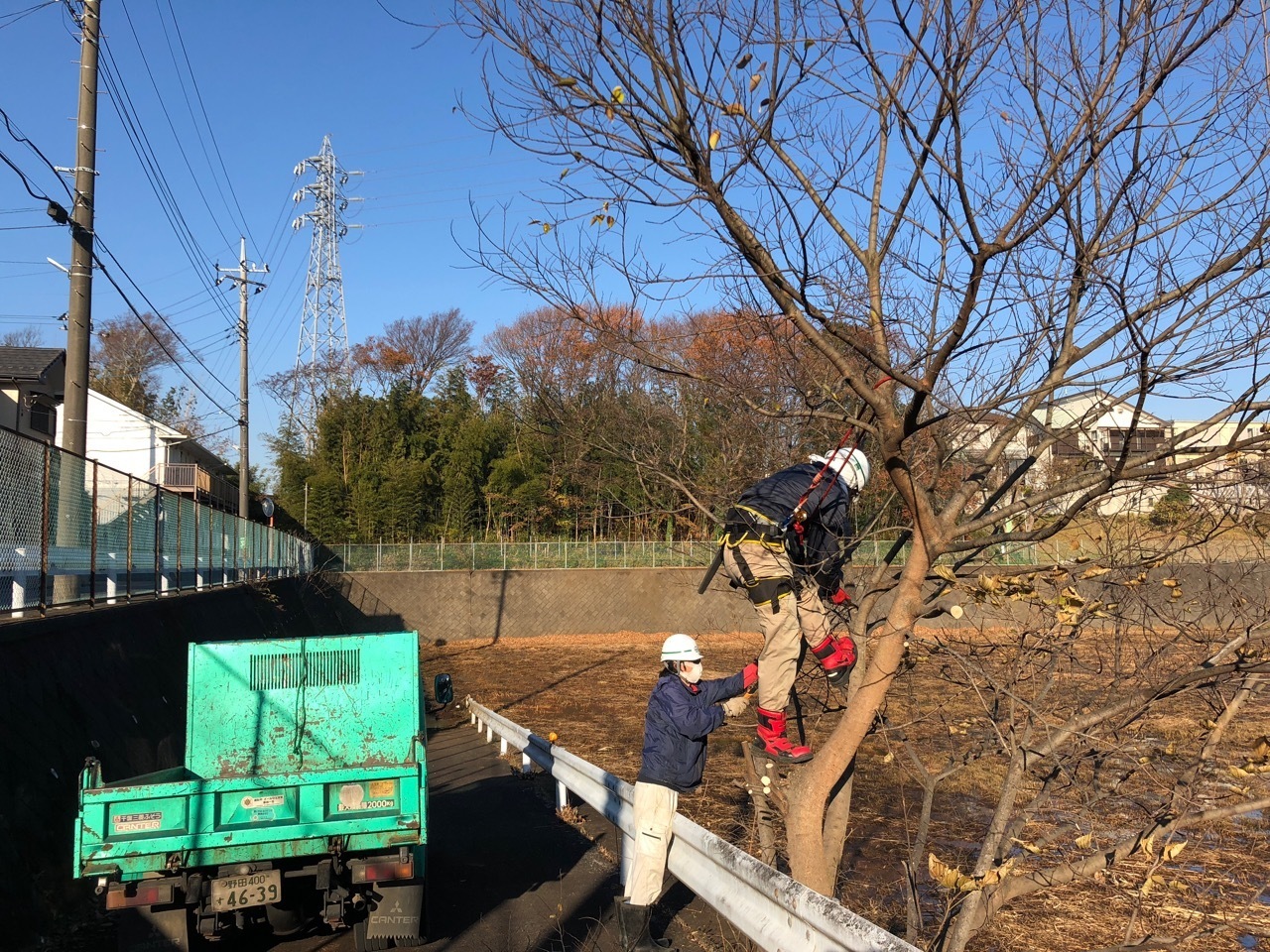 田中園緑化土木株式会社マンション植栽管理